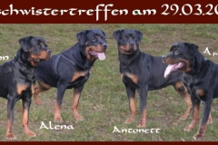 vier_geschwister_29.3.09_rot_mittelgross