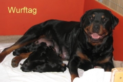 B_Wurftag