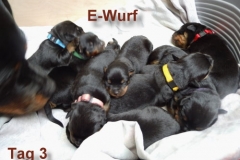 Tag3