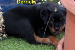 13_04_12Derrick