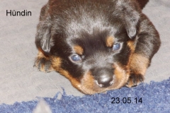 23_05_14_lila